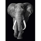  Dekorativni panel (Kings of Nature – elephant, 100 x 140 cm) Cene