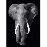  Dekorativni panel (Kings of Nature – elephant, 100 x 140 cm)