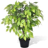 vidaXL Umetna Rastlina Fikus z Loncem 60 cm Cene