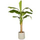 MID.YOU Umetna Rastlina Banana I | Shoptok.si
