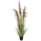 Umetna rastlina (višina 145 cm) Austorderia –