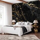 Foto tapeta - Black Elegance 450x315 Standard | shoptok.hr