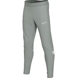 Nike Spodnji deli trenirke Pantalon de survêtement Academy 21 Siva Cene