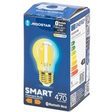 Aigostar led sijalica filament G45 E27/4,5W/230V 2700-6500K | Eponuda.com