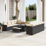 vidaXL 11-delni set vrtne sofe z blazinami črni poli ratan akacija | Shoptok.si
