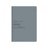 Ilijanum Sveska A4 Infinity spirala sk 120l Cene