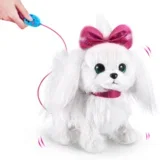 Paw pets alive kuca u šetnji ( 37191 )