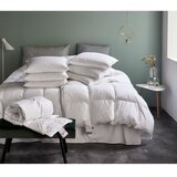 Ringsted Dun Polnilo za blazino s polnilom iz perja 50x70 cm Jack the Dullard – | Shoptok.si