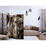  Paravan u 3 dijela - Brown Revelry [Room Dividers] 135x172 | shoptok.hr