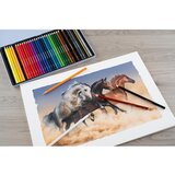 Faber-Castell Barvice Eberhard Faber Colori, 36 kosov | Shoptok.si