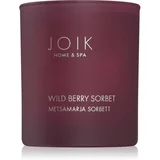 JOIK Organic Home & Spa Wild Berry Sorbet dišeča sveča 150 g