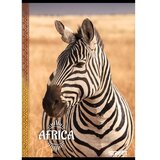STREET Zvezek Africa A4 črte | Shoptok.si