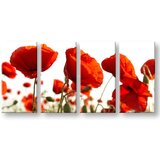  Slike na platnu cveće | ePonuda.com