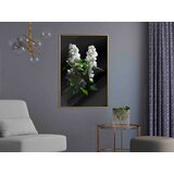  Poster - White Lilac 30x45 | shoptok.hr