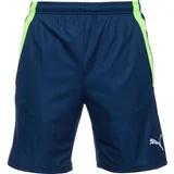 Puma TEAMLIGA TRAINING SHORTS 2 Muške nogometne kratke hlače, plava, veličina