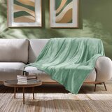 Douceur d intérieur Svijetlo zelena deka od mikroflanela 180x220 cm Flanou – | shoptok.hr