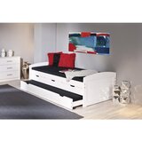 CARRYHOME POSTELJA 90 cm x 200 cm , les bela | Shoptok.si