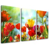  Slike na platnu cveće (moderne slike na platnu) | ePonuda.com