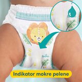 Pampers Pants hlačne pleničke, št. 4, za 9 - 15 kg, 176 kos S4 176/1 | Shoptok.si
