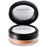 Powder 22g