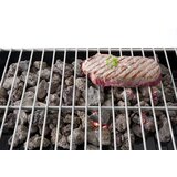 Lava Kamni za Žar | Shoptok.si