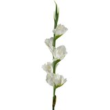 Mondex umetna vejica gumirana Viridis Mieczyk 85cm bela 1kos, (5000301150) Cene