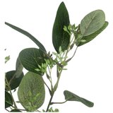Ixia umjetni eukaliptus (visina 59 cm) – | shoptok.hr