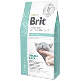 Brit veterinary diet Brit GF Veterinarska dieta za mačke - Struvite 5 kg | Shoptok.si