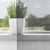 Voile zavjese s džepovima za šipke 2 kom tamnosive | Shoptok.si