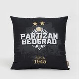 Gusenica Ukrasni jastuk partizan 40x40 Cene