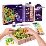  Okto set za modeliranje sukulenata 21 x 21 cm energia | shoptok.hr