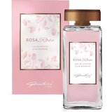 Coswell S.p.A. Gandini Ženska toaletna voda Rosa Rose, EDT, 100 ml Cene