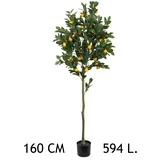 dekorativno stablo limuna 160cm 567307