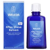 Men vlažilen balzam po britju z zeliščnimi ekstrakti 100 ml