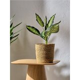 Sinsay Dodaci za kuhinju | shoptok.hr