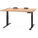ErgoHide dvižna pisalna miza s prostorom za kable, (21044794) | Shoptok.si