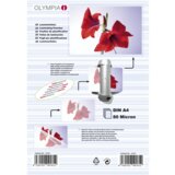 Olympia 1x25 Laminating pouches DIN A4 80 micron | shoptok.hr
