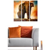 Wallity Set slika MDF619226807, 3 dijela | Eponuda.ba