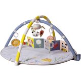 Taf Toys bebi podloga sa gimnastikom Cene
