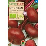 Samen Maier Bio rdeča pesa "Ägyptische Plattrunde" Cene