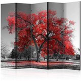  Paravan u 5 dijelova - Autumn in the Park II [Room Dividers] 225x172 Cijene