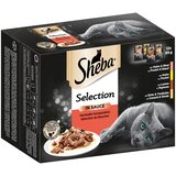 Sheba 96 x 85 g različice v vrečkah po ugodni ceni - Selection in Sauce izvrstna kompozicija Cene