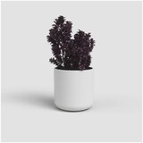 Artevasi Keramička tegla za cvijeće ø 14 cm Juno – | shoptok.hr