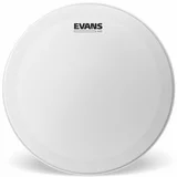 Evans B13HD Genera HD Coated 13" Opna za boben