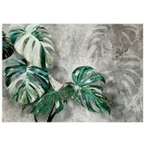  Tapeta - Variegata 300x210 | shoptok.hr