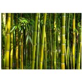  Tapeta - Oriental Garden 100x70 | shoptok.hr