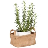Wenko 64470100 - Koš JUNA 20x15 cm braon | Eponuda.com