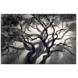 Slika - Lighted Branches (1 Part) Wide 90x60 | shoptok.hr