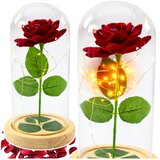 Eternal Rose In Glass Dome LED Lighting Red 21x11cm | Shoptok.si