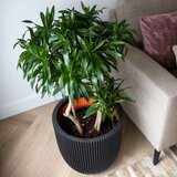 Capi posuda za sadnju Groove 43 x 41 cm crna | shoptok.hr